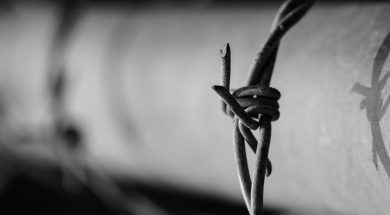 Was-bringt-der-War-on-Drugs-in Deutschland?