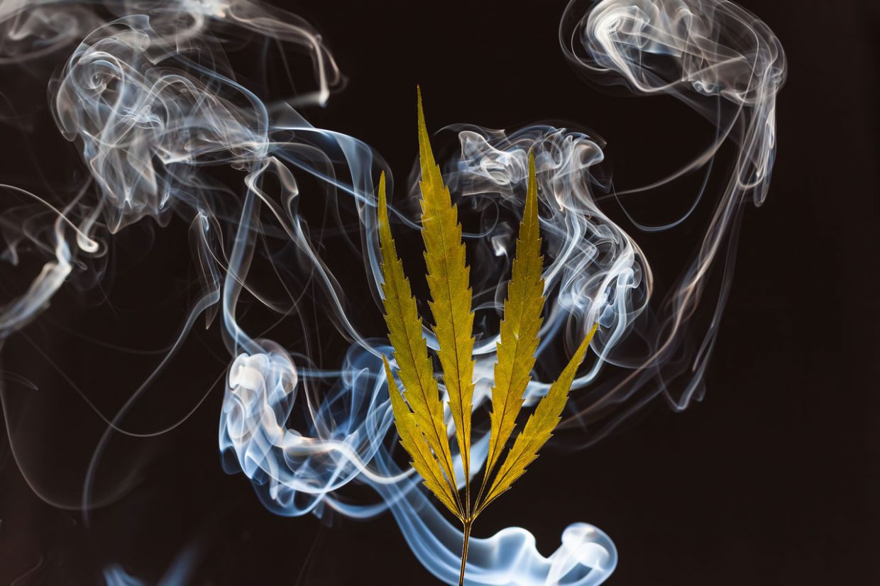 Keine Papers, kein Problem: Cannabis ohne Papers rauchen