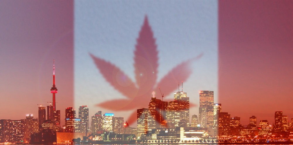 Kanadas Weg in die Cannabis-Legalisierung – und was Deutschland davon lernen könnte
