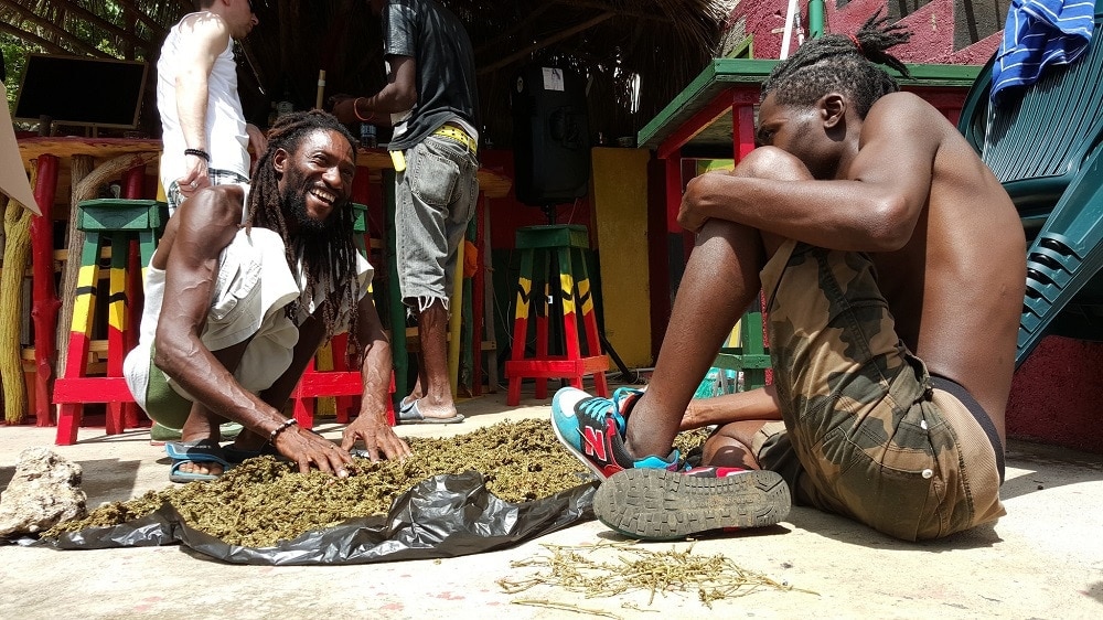 Die Rastafari und Cannabis: Welche Rolle spielt das „Ganja“ in der Religion?