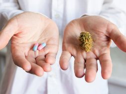 Wechselwirkungen Cannabis Medikamente