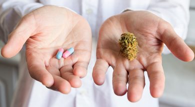 Wechselwirkungen Cannabis Medikamente