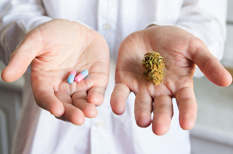 Wechselwirkungen von Cannabis mit anderen Medikamenten
