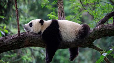 Prokrastination überwinden Tipps