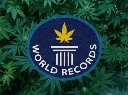 cannabis-world-records