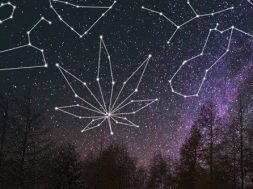 horoskope-cannabis