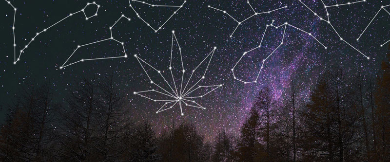 Cannabis-Horoskop – Welches Weed passt am besten zu eurem Sternzeichen?