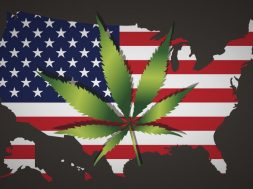 cannabis-legalisierung-usa