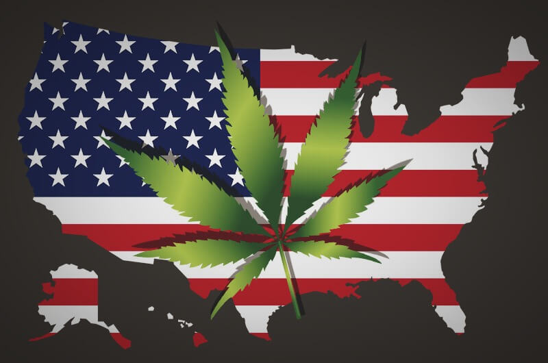 Grüne Welle in den USA: Cannabis siegt bei den Midterms