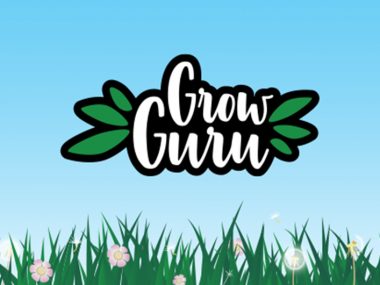 GrowGuru-Growbox