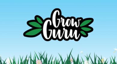 GrowGuru-Growbox
