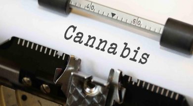cannabis-medien