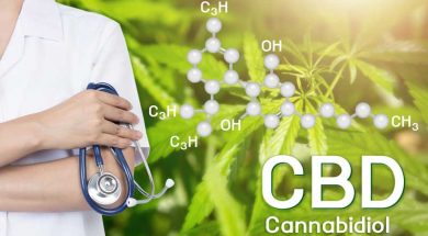CBD-Hanfverband