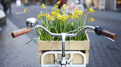Fit-Frühling-Gratis