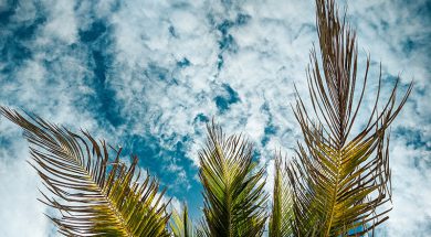 Top 5 Cool down Tipps Sommer