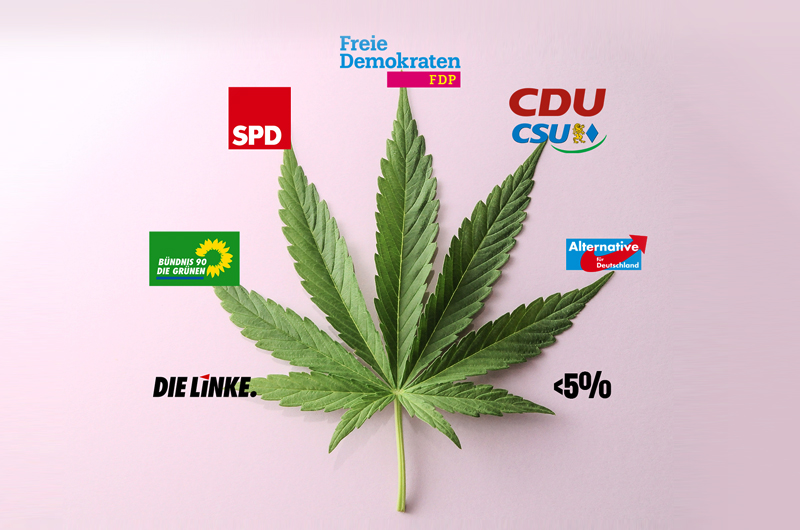 Wen kann man noch wählen? Die Parteien und ihre Haltung zu Cannabis