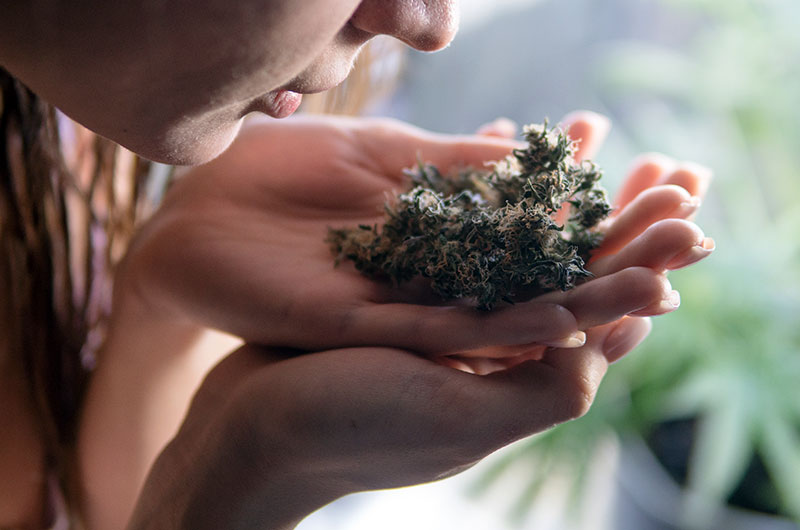 Eau de Cannabis – Hab ich da etwa Gras gerochen?
