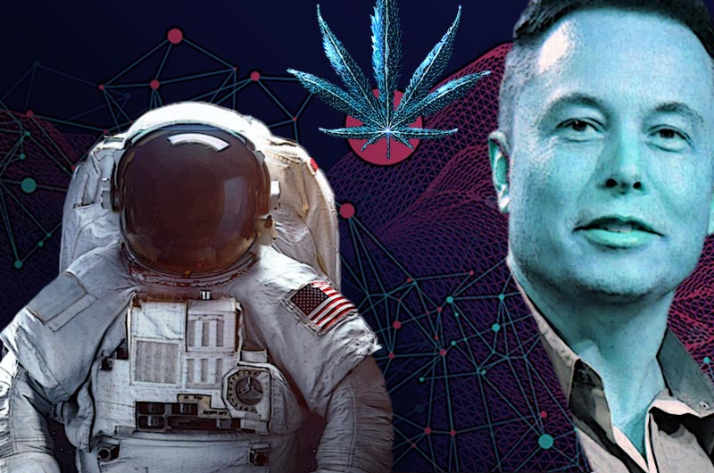 Gras im All – Warum will Elon Musk Cannabis in den Weltraum schicken?