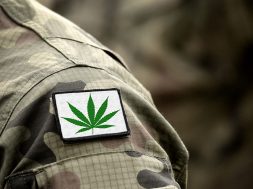corona-cannabis-legalisierung