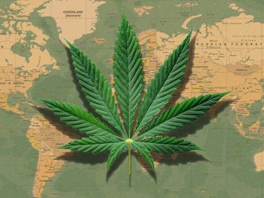 Cannabis-legal-länder-weltweit