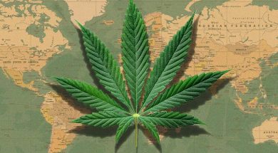 Cannabis-legal-länder-weltweit