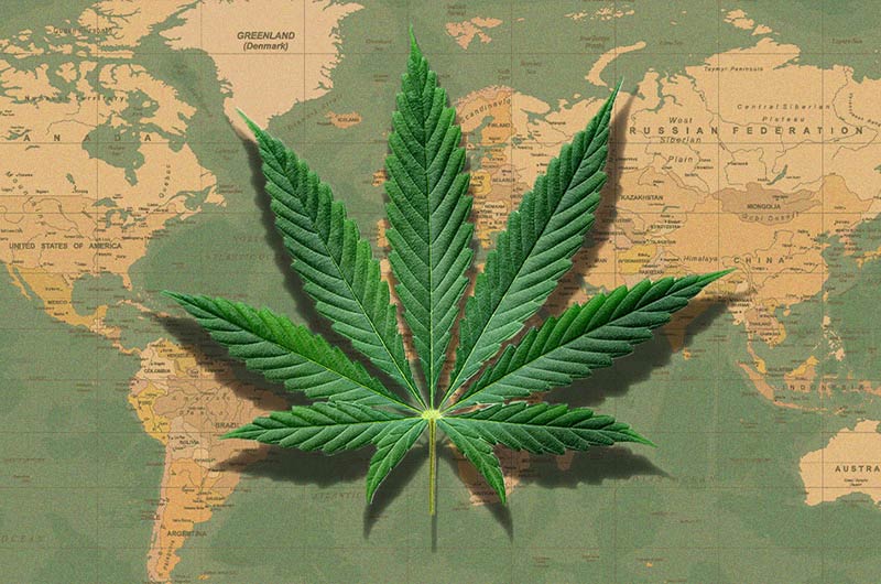 Cannabis-Legalisierung weltweit: In diesen Ländern ist Kiffen erlaubt