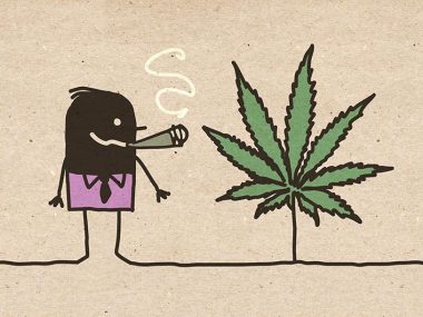 Cannabis-Verschwoerung