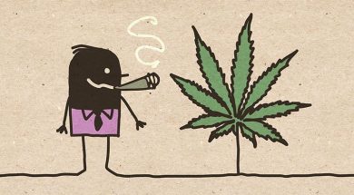 Cannabis-Verschwoerung