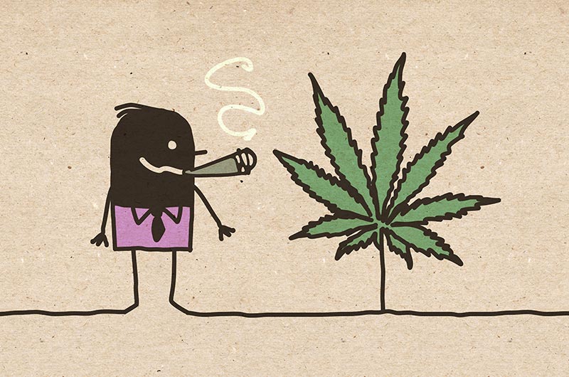Die Cannabis-Verschwörung: Geheime Unterdrückung oder bloß haltlose Theorien?