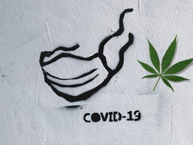 cannabis-corona1