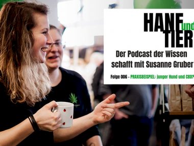 Podcast_HanfTier_JungerHundCBD
