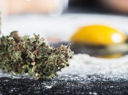 grasgerichte-netflix-cookedwithcannabis