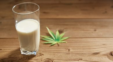 Cannabis-Milch-Rezept-Weed-Milk