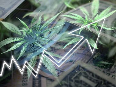Cannabis-aktien-investieren