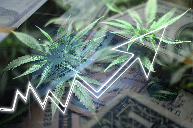 Cannabis-Aktien: Lohnt es sich aktuell zu investieren?