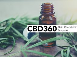 cbd360-cannabis-magazin