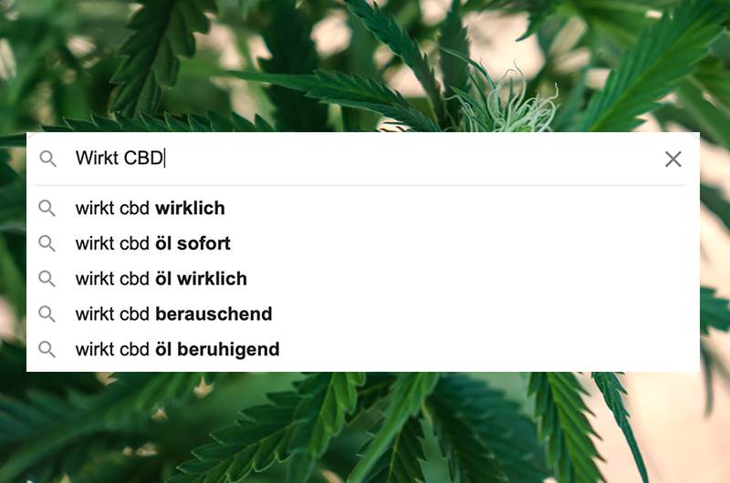 CBD: Die 60 meistgegoogelten Fragen und unsere Antworten – PART 3