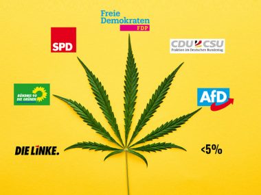 Superwahljahr 2021 – So stehen die neuen Spitzenkandidaten zu Cannabis