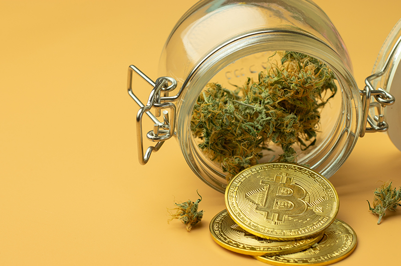 Cannabis und Bitcoin – Der Goldgräber Hype um Kush, Krypto & Co.