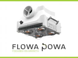 FlowaPowa-Titelbild-Weedo