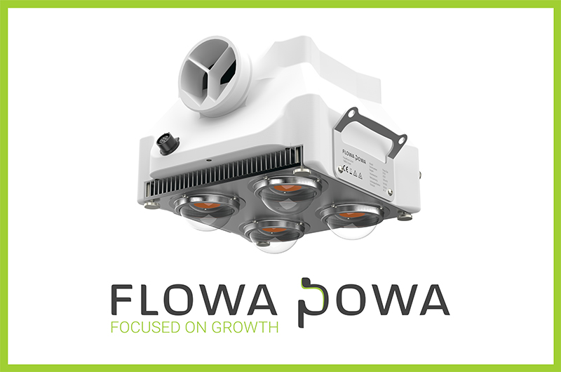 FlowaPowa präsentiert die FlowaOne: Wo Großartiges wächst und gedeiht