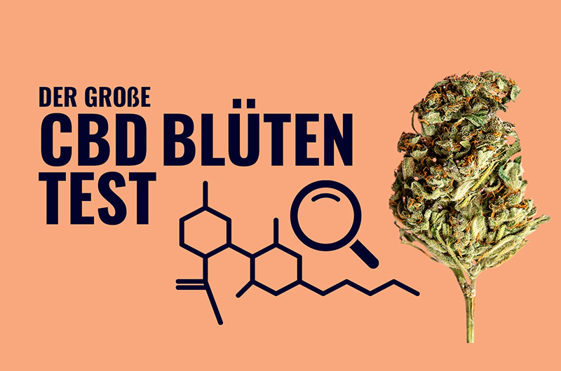 🏆 CBD Liquid kaufen – Unsere CBD Liquid Testsieger [2024]