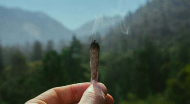 Österreich-Cannabis-Individualantrag