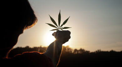 BvCW-Nutzhanf-Magazin-Weedo