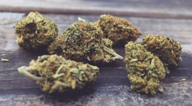 CBD-Frankreich-legal