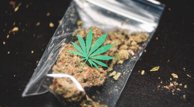 LEAP-Entkriminalisierung-Weedo