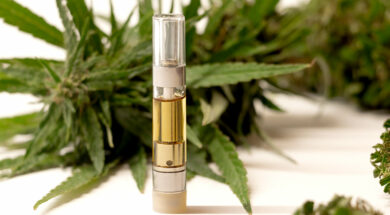 Artikelbild-800×500