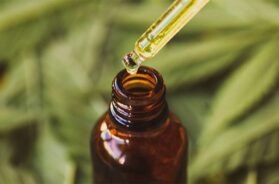 CBD-Produkte-Natürliche-Entspannung-für-Körper-und-Geist