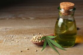 Von-der-Pflanze-zur-Flasche-Was-gutes-Hanföl-wirklich-ausmacht