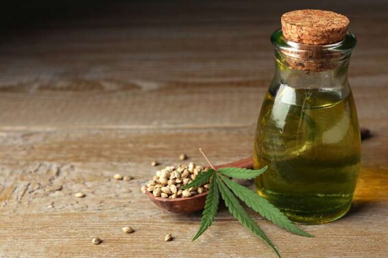 Von-der-Pflanze-zur-Flasche-Was-gutes-Hanföl-wirklich-ausmacht